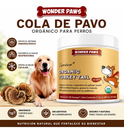 Perro Sano Familia Feliz - Hongo Cola De Pavo Cuida La Salud de Tu perro