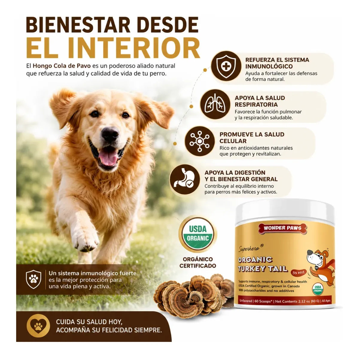 Perro Sano Familia Feliz - Hongo Cola De Pavo Cuida La Salud de Tu perro