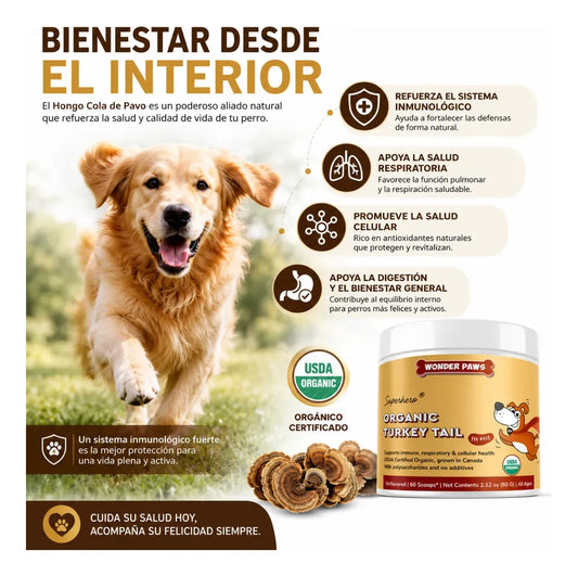 Perro Sano Familia Feliz - Hongo Cola De Pavo Cuida La Salud de Tu perro