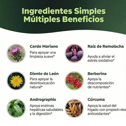 LIVER DETOX: Destruye el Hígado Graso. Elimina el Mal Aliento Desde la Raíz y Recupera tu Seguridad (70 Cápsulas)
