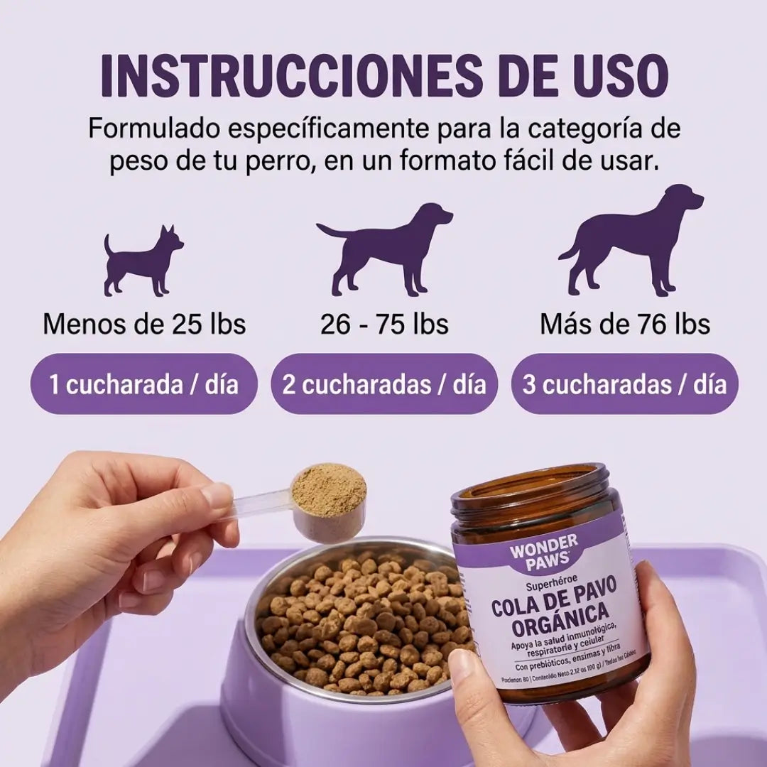 Perro Sano Familia Feliz - Hongo Cola De Pavo Cuida La Salud de Tu perro