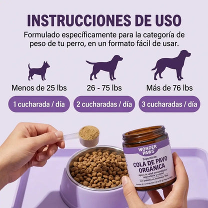Perro Sano Familia Feliz - Hongo Cola De Pavo Cuida La Salud de Tu perro
