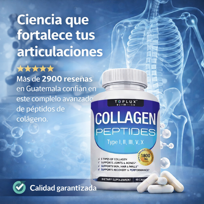 Complejo de Péptidos con 5 Tipos de Colágeno