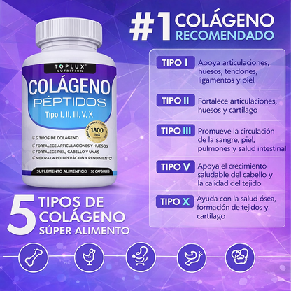 Complejo de Péptidos con 5 Tipos de Colágeno